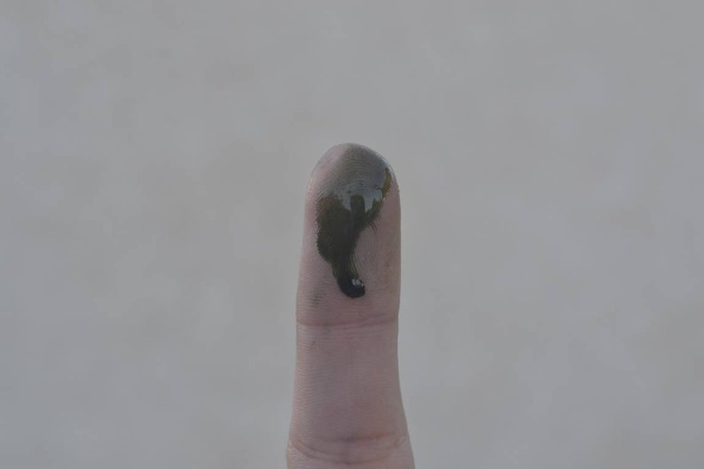 May include: A close-up of a finger with a dark green smudge on the tip.