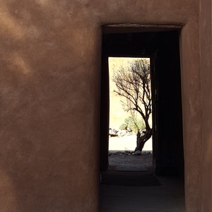May include: An architectural view of a doorway leading to a tree. The walls are a textured, earthy brown, contrasting with the bright sky visible through the opening. The doorway frames a tree against a sunlit background.