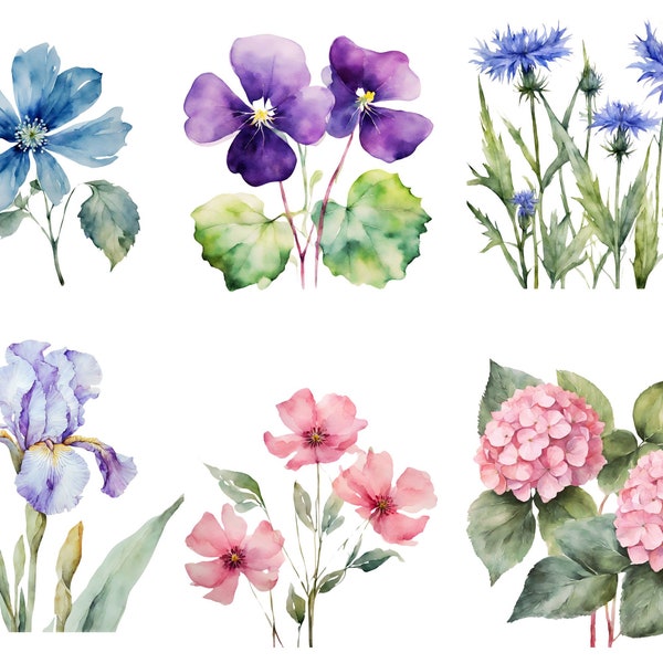 16 Imágenes prediseñadas de varias flores y hojas, Impresión de flores y hojas, flores y hojas acuarela PNG y JPG de alta calidad, digital
