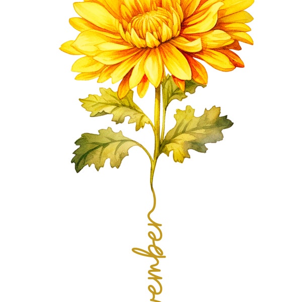 flor de nacimiento noviembre, crisantemo 2 diseños, 2pdf, 2jpg, 2png, alta resolucion 1 gif, uso comercial, pngs  para diseñar, birthflower