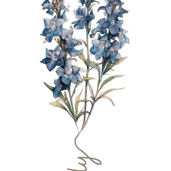 flor de nacimiento delfinium para nacidos el mes de julio, Espuela del caballero, larkspurs, 2 diseños preciosas flores azules, png jpg, pdf
