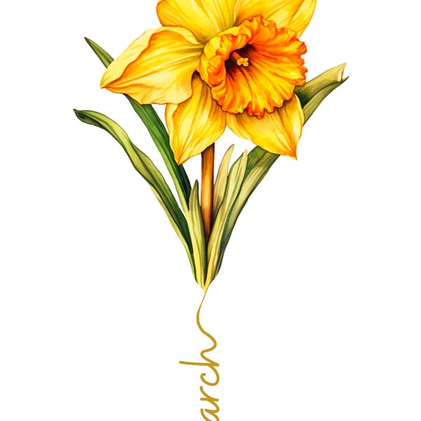 flor de nacimiento marzo, narciso,  birthflower march daffodil, 2 diseños, pdf, jpg, png para descargar, imprimir y un gif smartphone