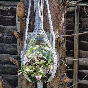 May include: A clear glass terrarium, filled with small plants and pebbles, hangs from a grey macrame. The round terrarium contains green and pink plants. The macrame is knotted and attached to a tree trunk. The terrarium's diameter is approximately 15 cm.