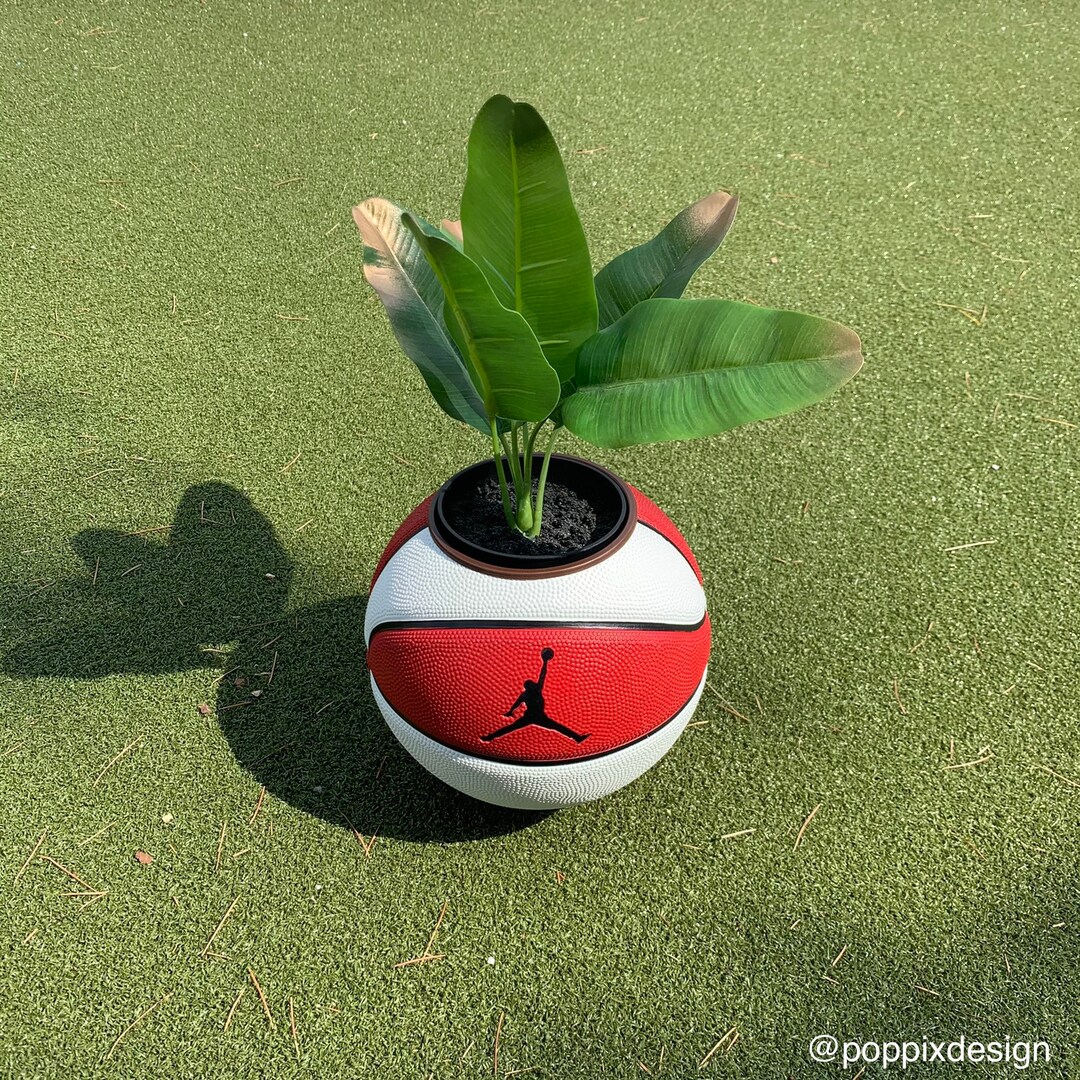 MINI Basketball Planter Jordan 1 Etsy