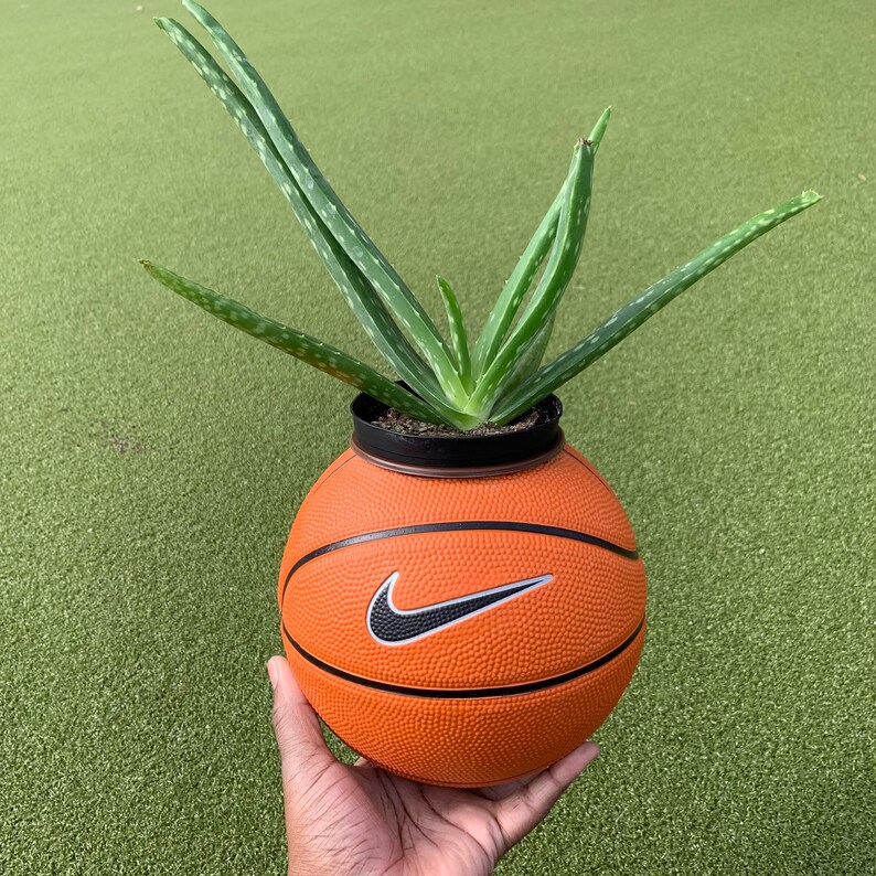 MINI BASKETBALL PLANTER Etsy