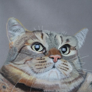 Ritratto di animali domestici, gatti, gatti divertenti, regalo, opera d'arte originale, stampe, soriano