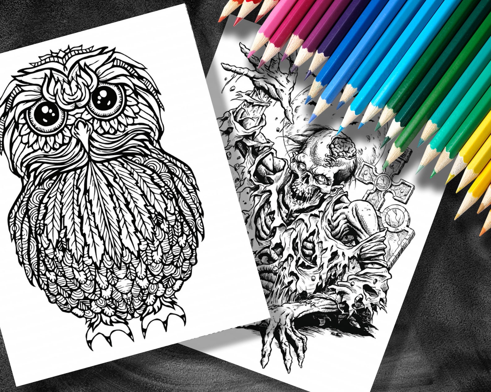 Livre de coloriage pour adultes Livre de coloriage  Etsy