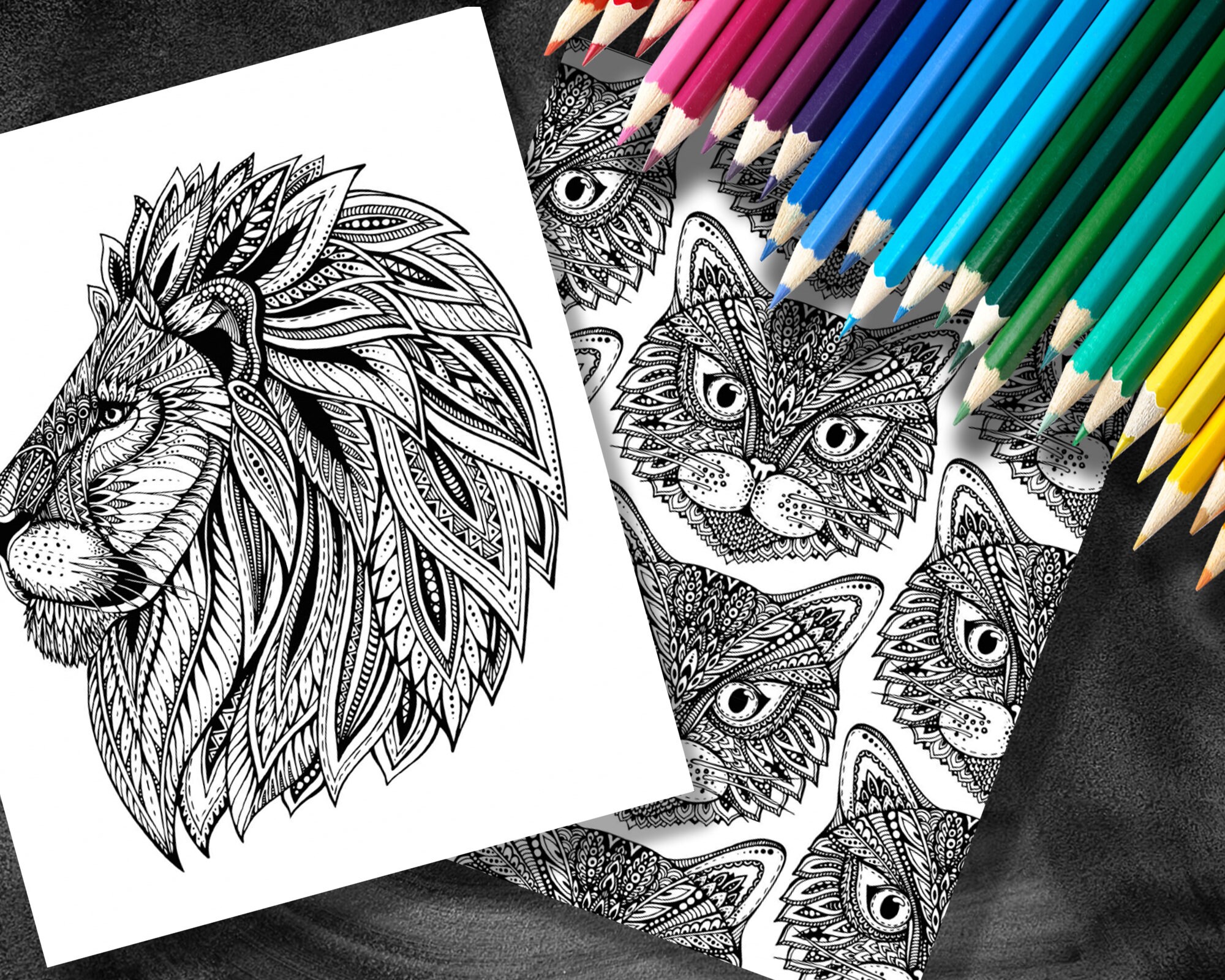 Adult Coloring Books Cat Coloring Book Cat Coloring Pages | Etsy