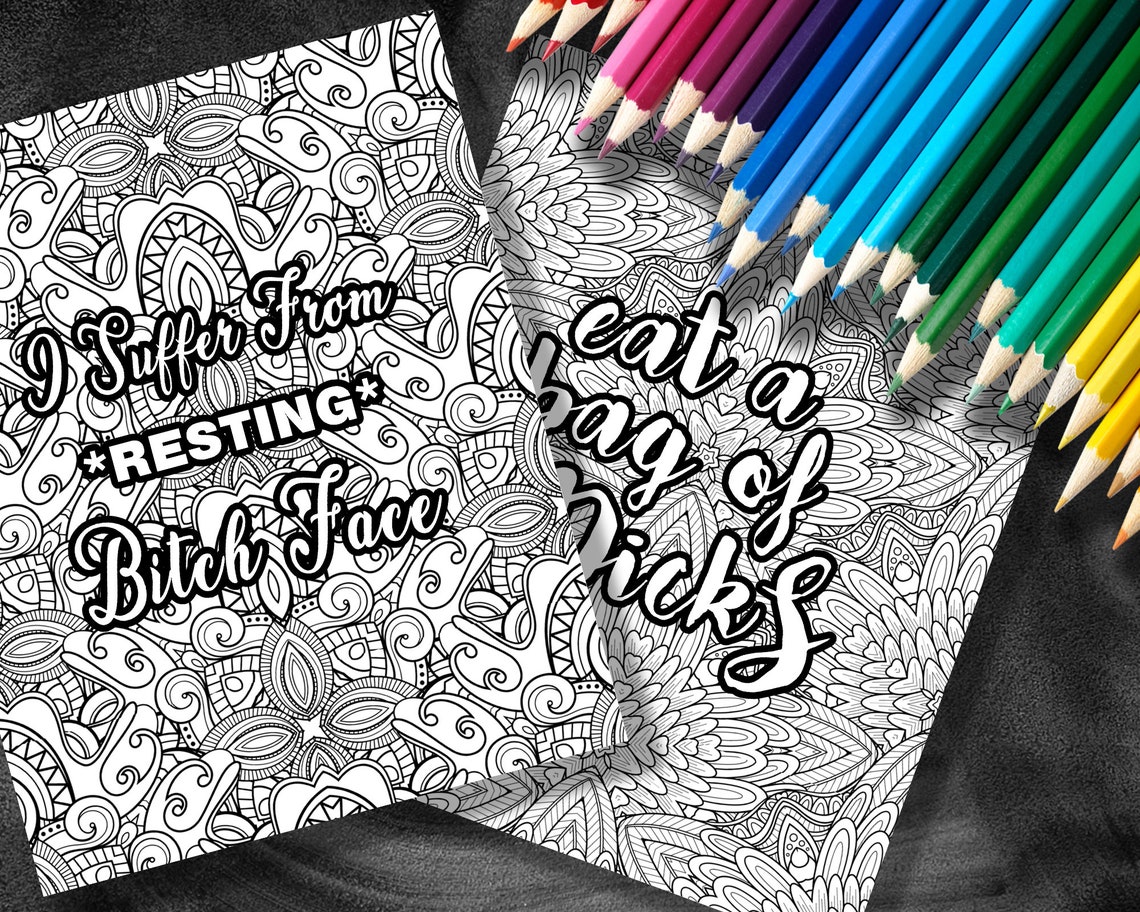 Shut Your Fucking Mouth and Color Adult Coloring Book Insult | Etsy