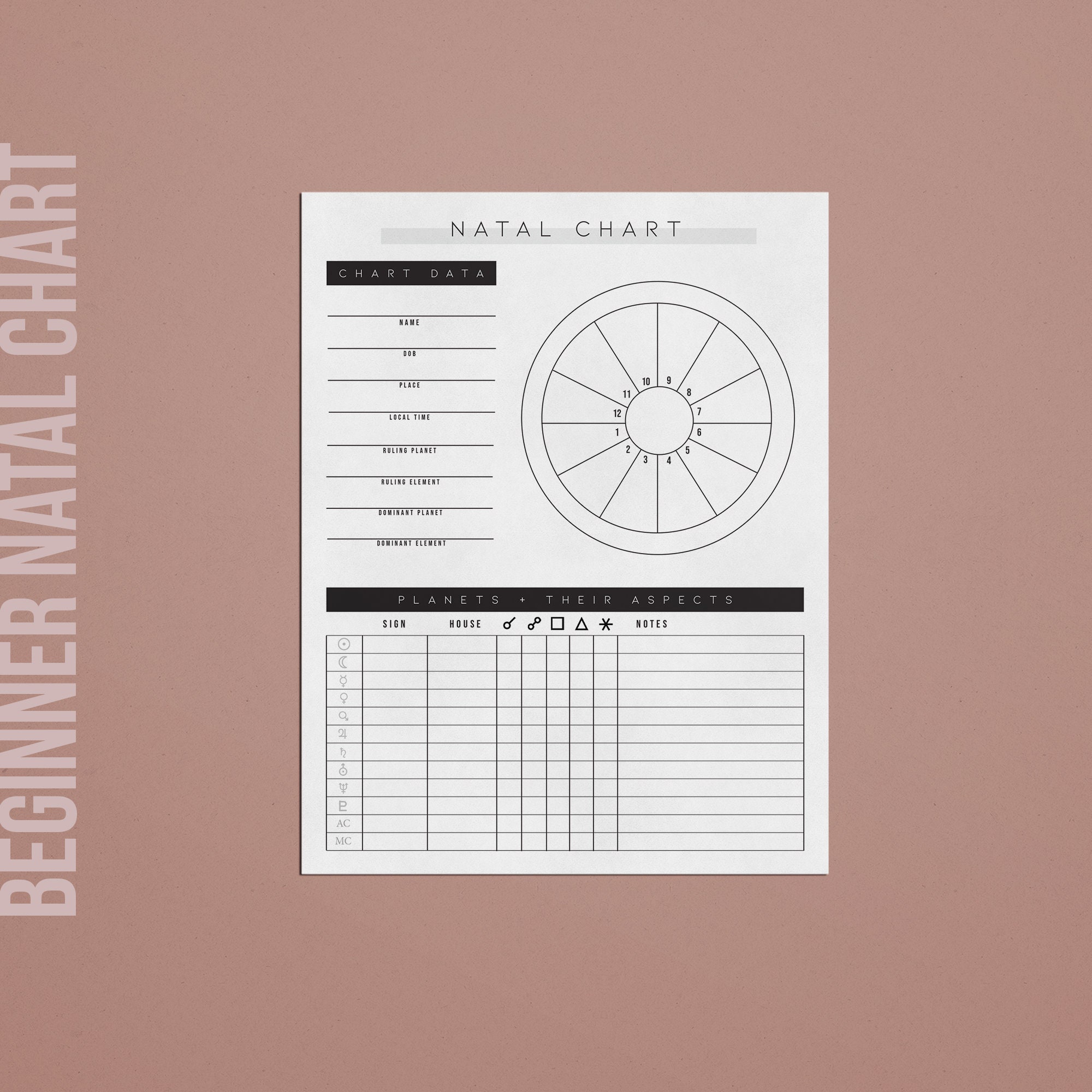 Beginner Natal Chart Log Astrology Worksheet Zodiac - Etsy