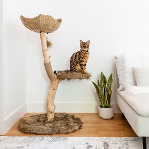 Cat Tree Tower, Unique Cat Condo, Wooden Cat Tree, Cat Climbing Tree, Furniture For Cat, Cat Lover Gift, Cat Furniture, Cat Gift Mau Brown