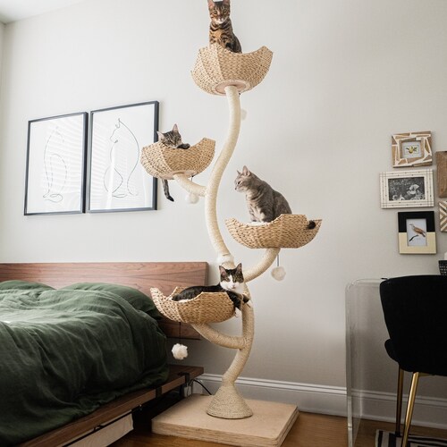 Modern Cat Tree Furniture Wood Cat Condo Cat Tower Etsy