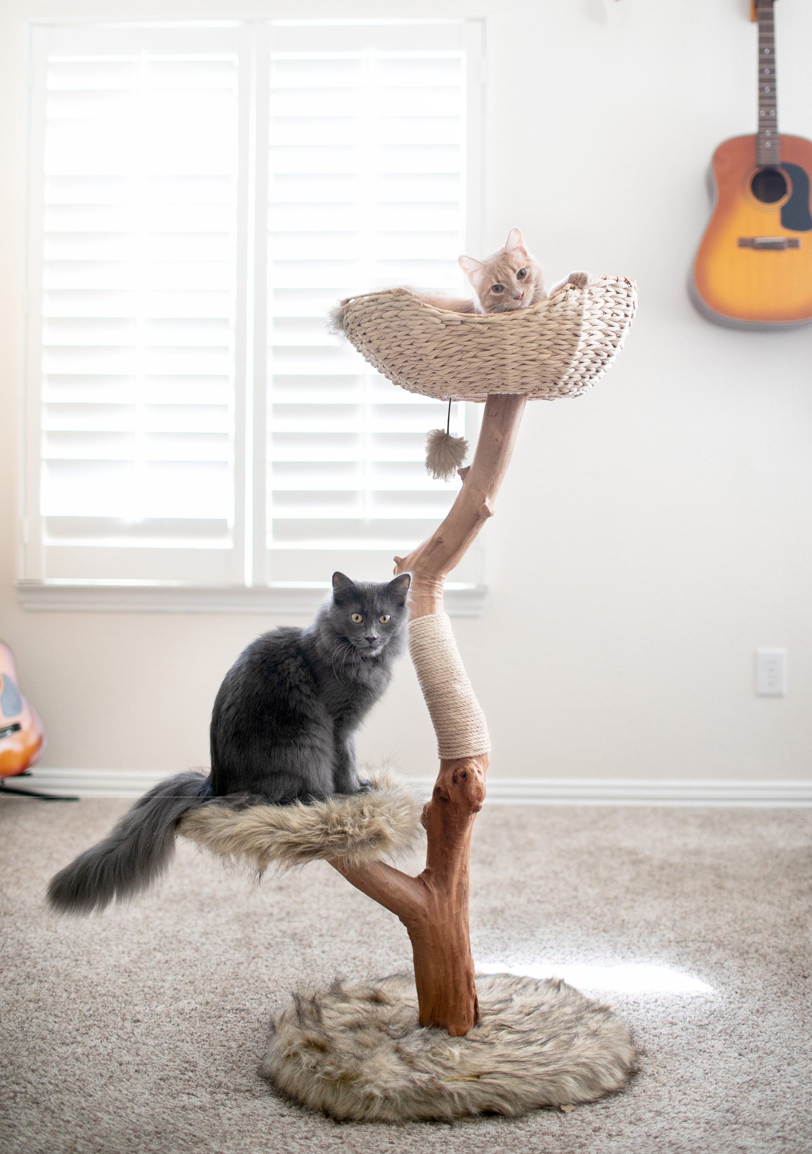 Cat Tree Tower Modern Single Branch Cat Condo Wood Cat Tree Etsy