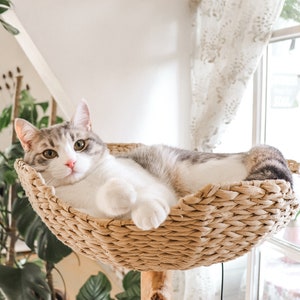 Cat Tree Tower, Unique Cat Condo, Wooden Cat Tree, Cat Climbing Tree, Furniture For Cat, Cat Lover Gift, Cat Furniture, Cat Gift Mau image 7