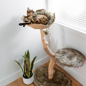 Cat Tree Tower, Modern Single Branch Cat Condo, Wood Cat Tree, Cat Climbing, Furniture For Cat, Cat Lover Gift, Cat Furniture,Cat Gift Mau imagem 9