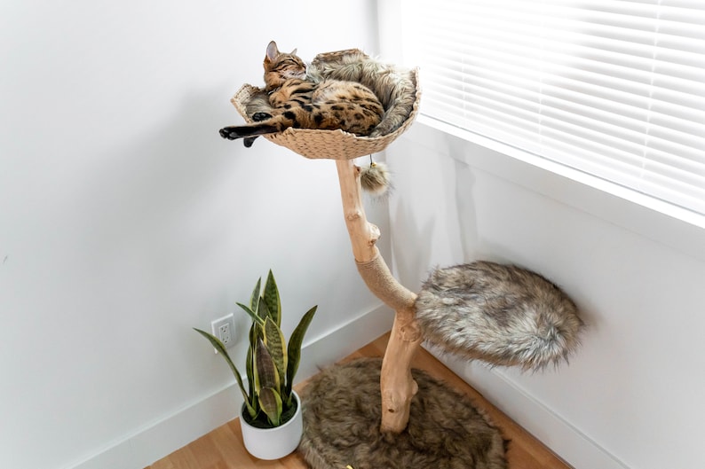 Cat Tree Tower, Modern Single Branch Cat Condo, Wood Cat Tree, Cat Climbing, Furniture For Cat, Cat Lover Gift, Cat Furniture,Cat Gift Mau image 9