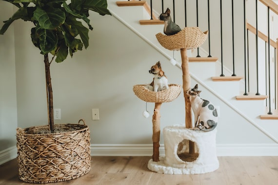 Indoor cat hotsell climbing tree