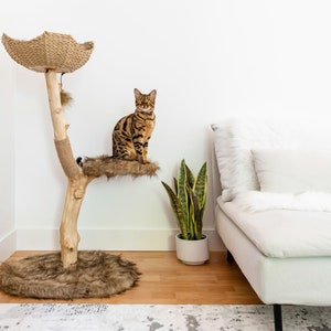 Cat Tree Tower, Modern Single Branch Cat Condo, Wood Cat Tree, Cat Climbing, Furniture For Cat, Cat Lover Gift, Cat Furniture,Cat Gift Mau Brown