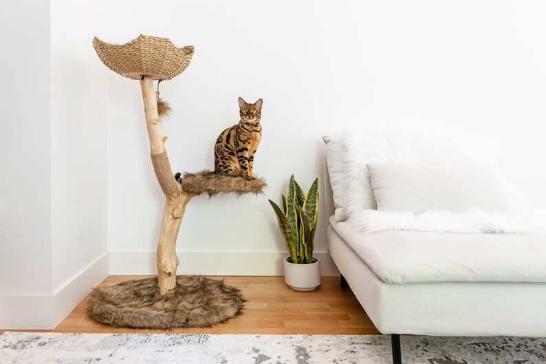 Cat Tree Tower, Modern Single Branch Cat Condo, Wood Cat Tree, Cat Climbing, Furniture For Cat, Cat Lover Gift, Cat Furniture,Cat Gift Mau Brown