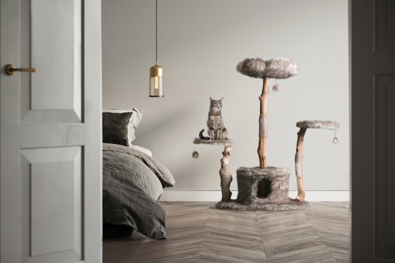 cat climbing furniture