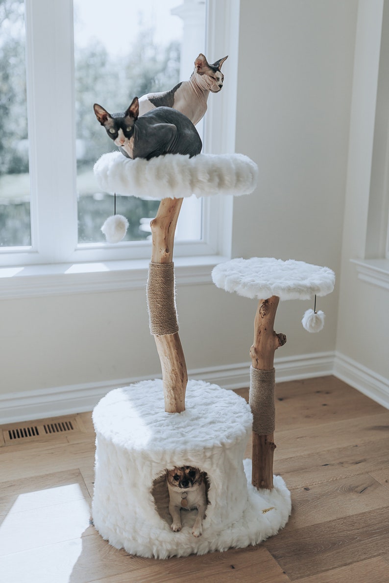 Wooden Cat Tree Condo, Modern Cat Tree Tower, Wooden Cat Tree, Cat Climbing Tree, Furniture For Cat, Cat Lover Gift, Cat Gifts Mau image 5