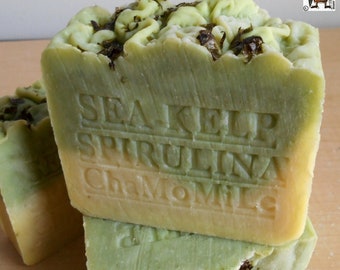 Sea Kelp and Moss Natural Soap with Chamomile Herb and Organic Spirulina