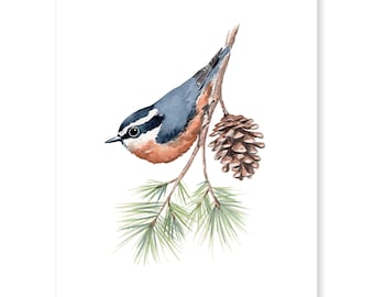 Aquarelkunstprint boomklever met dennenappel