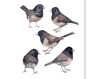 Dark-eyed Junco Birds Watercolor Art Print