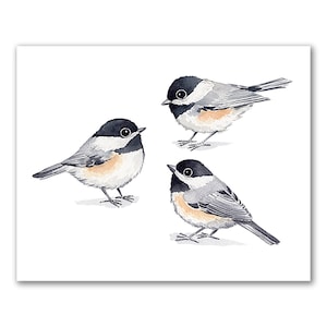 Black-Capped Chickadee Trio Art Print / Chickadee Watercolor Print / Chickadee Art Print / Gift for bird Lovers / Cute watercolor birds