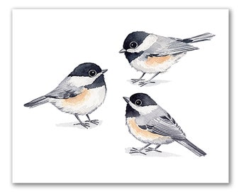Black-Capped Chickadee Trio Watercolor Art Print