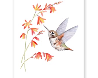 Lámina artística de colibrí en acuarela