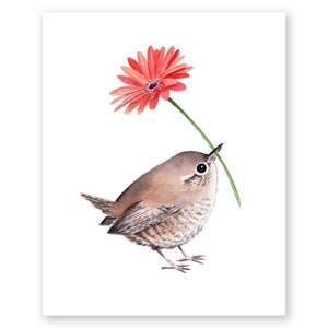Könnte beinhalten: Ein Aquarellbild eines braunen Zaunkönigs, der eine einzelne rosa Gerbera im Schnabel hält.