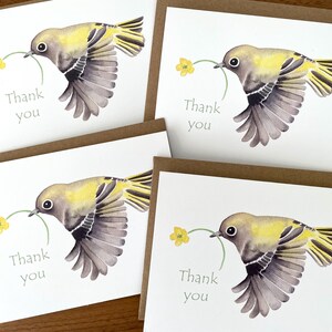 Lot de 4 cartes de remerciement oiseau / Lot de 4 cartes de remerciement / Cartes d'oiseau mignon / Cartes de remerciement oiseau / Cartes de remerciement mignonnes / Bundle d'oiseau