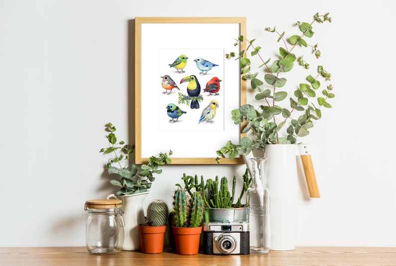 South American Bird Print / Bird Art Print / Watercolor Bird - Etsy