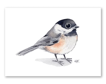 Impresión artística de carbonero / Arte de carbonero de cabeza negra / Impresión de pájaro lindo / Arte de pájaro lindo / Acuarela de carbonero / Regalo para amantes de las aves / Impresión de pájaro