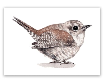 Lámina artística en acuarela de un reyezuelo