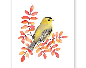 Wilson's Warbler Watercolor Print / 8"x10" Bird watercolor print / Gift for Bird Lover / Cute bird painting / Bird Art