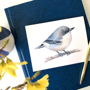 Carte de voeux sittelle pygmée / Carte oiseau / Carte vierge / Carte d'art / Carte oiseau aquarelle / Carte de remerciement / Carte d'anniversaire / Carte de professeur