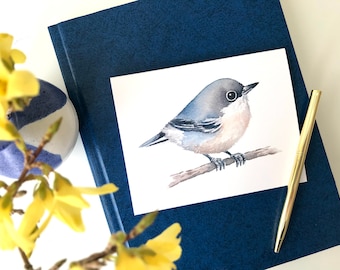 Pygmy Nuthatch Bird Greeting Card