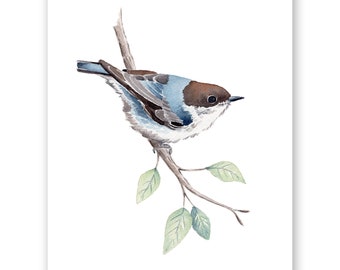 Boomklever op een tak aquarel kunstafdruk