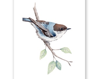 Nuthatch on a Branch Art Print / Nuthatch Bird Watercolor Art Print / Gift for her / Cute Bird Art / Watercolor Nuthatch / Wall Decor