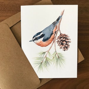 Carte de voeux sittelle avec pomme de pin / Carte d'oiseau / Carte vierge / Carte d'art / Carte d'aquarelle / Carte de remerciement / Carte d'anniversaire / Carte de professeur