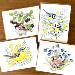 Lot d'oiseaux ! / Lot de 4 cartes d'oiseaux illustrées / Lot de cartes d'oiseaux / Cartes d'art bel oiseau / Paquet de cartes d'oiseaux aquarelles / Cartes de correspondance vierges