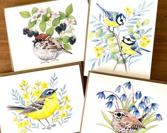 Bird Bundle!  Set of 4 Illustrated Bird Cards