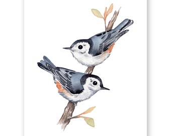 White-breasted Nuthatch Watercolor Print / 8"x10" Bird watercolor print / Gift for Bird Lover / Cute bird painting / Bird Art