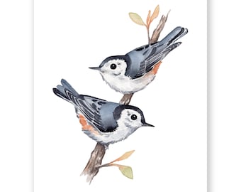 Aquarel kunstdruk boomklever met witte borsten