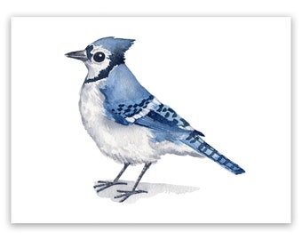 Blue Jay Art Print / Blue Jay Art / Cute Bird Print / Cute Bird Art / Blue Jay Watercolor / Gift for Bird Lover / Bird Print / Blue Bird Art