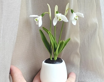 Snowdrop cold porcelain flowers in a milk jug Snowdrops for Gift Real touch snowdrop botanical sculpture artificial 3 snowdrops flower