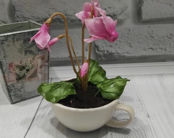 May include: A pink cyclamen plant in a white teacup. The plant has green leaves and pink flowers. The teacup has a handle and is sitting on a white surface.
