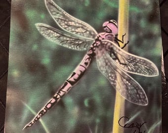 8x10 Autogrammed Foto - Libelle